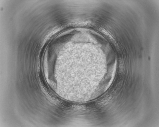 X0000086980582200705141718