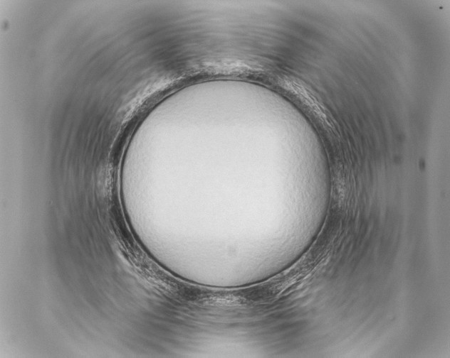 X0000086980583200705141718