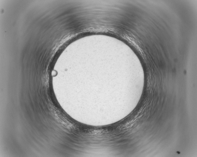 X0000086980584200705141718