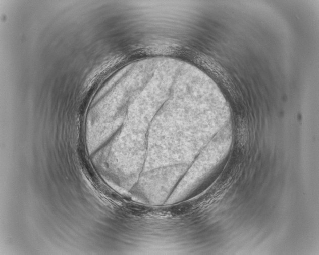 X0000086980586200705141718