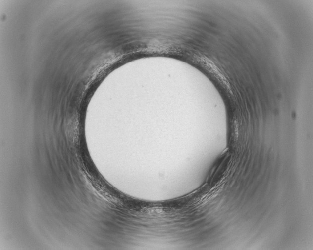 X0000086980588200705141718