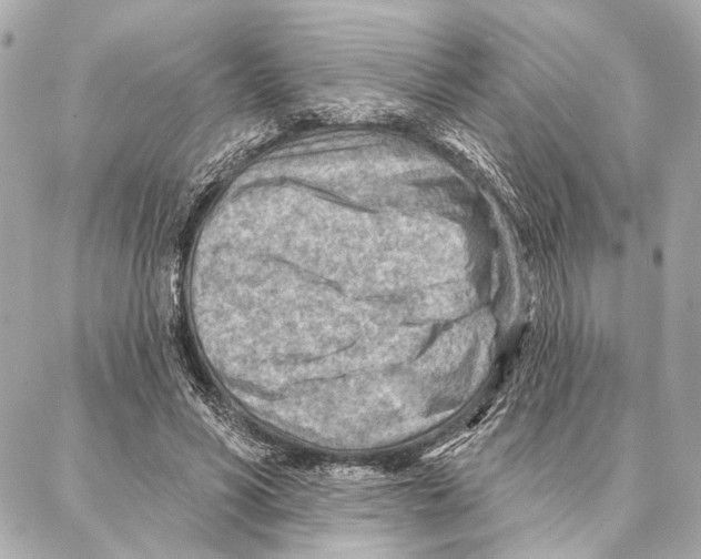 X0000086980590200705141718