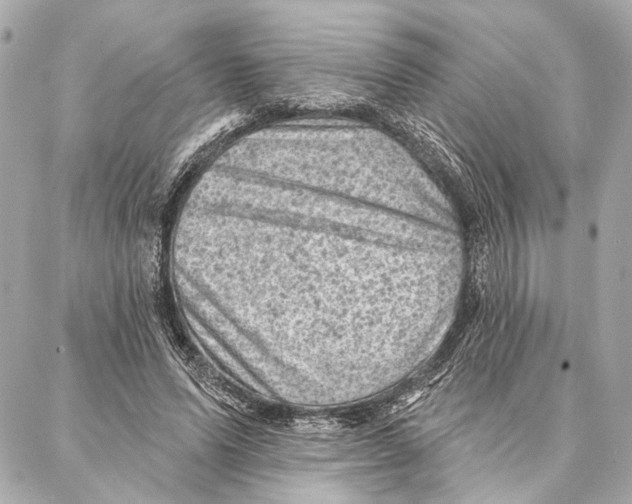 X0000086980591200705141718