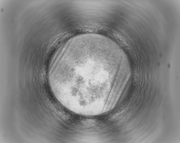 X0000086980594200705141718