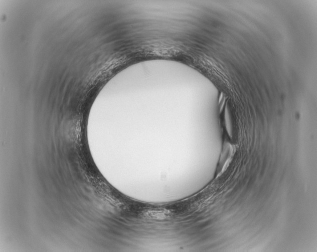 X0000086980595200705141718