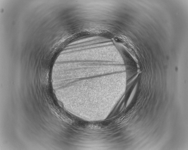 X0000086980596200705141718