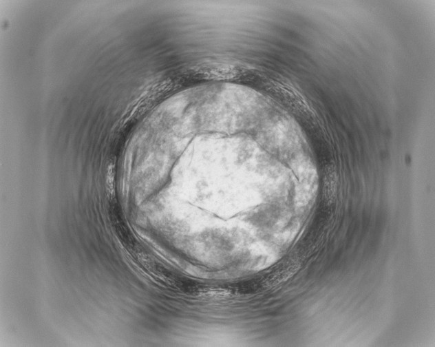 X0000086980598200705141718