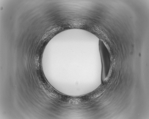 X0000086980599200705141718