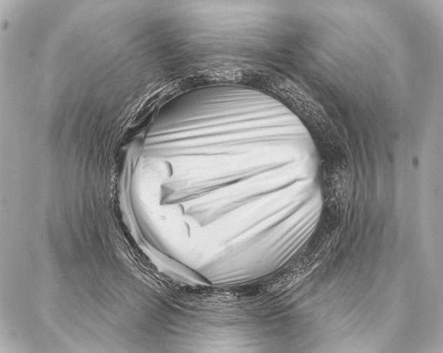 X0000086980600200705141718