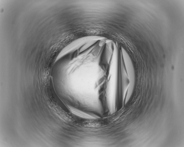 X0000086980601200705141718