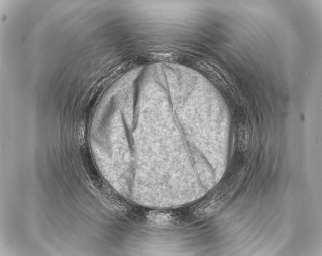 X0000086980602200705141718