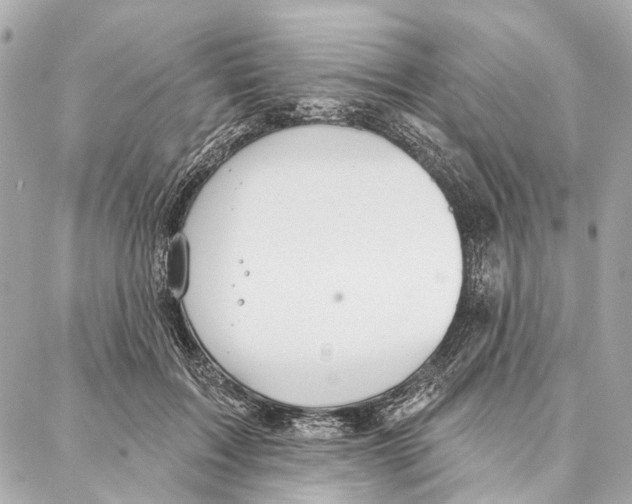 X0000086980603200705141718