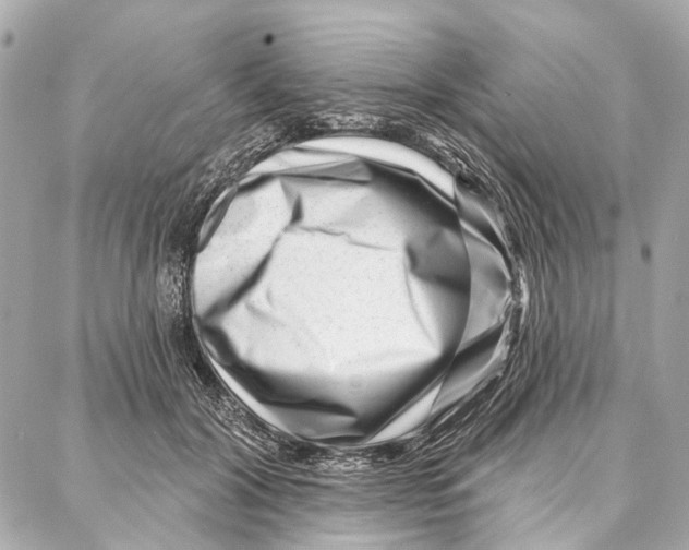 X0000086980604200705141718