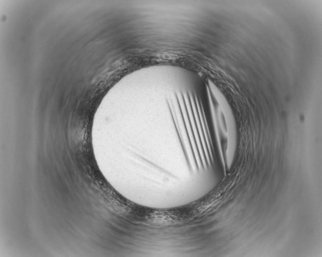 X0000086980608200705141717