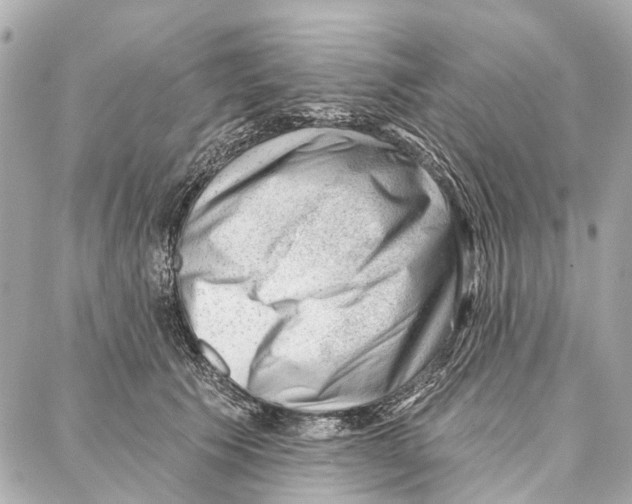 X0000086980609200705141717