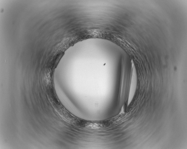 X0000086980611200705141717