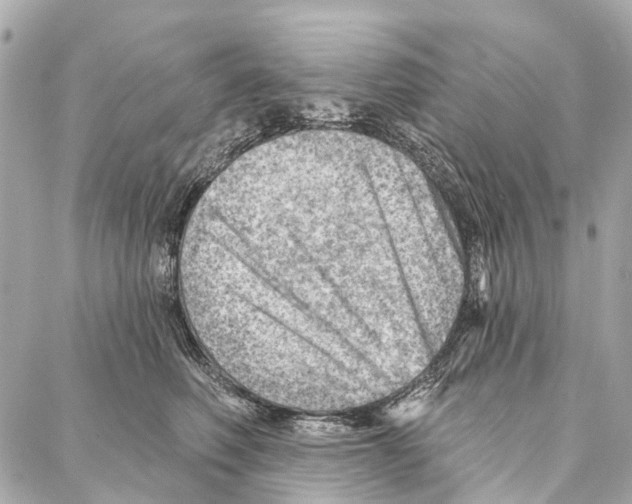 X0000086980614200705141717