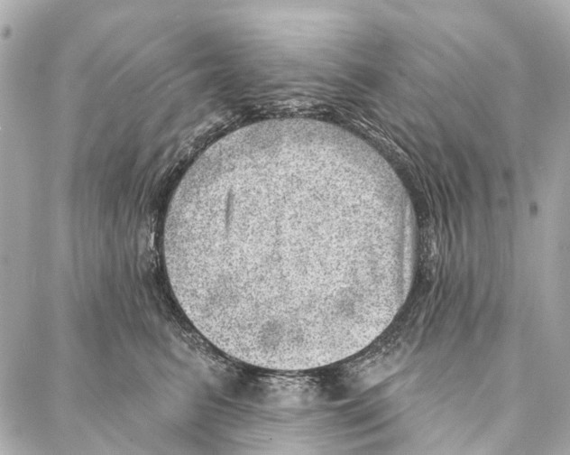 X0000086980615200705141717