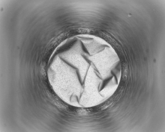 X0000086980616200705141717