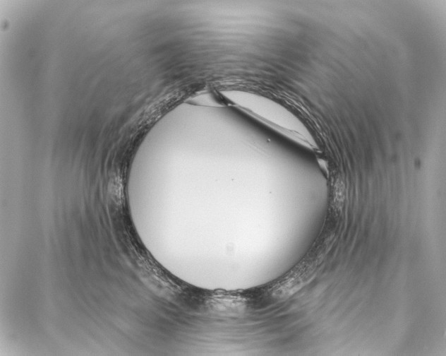 X0000086980617200705141717