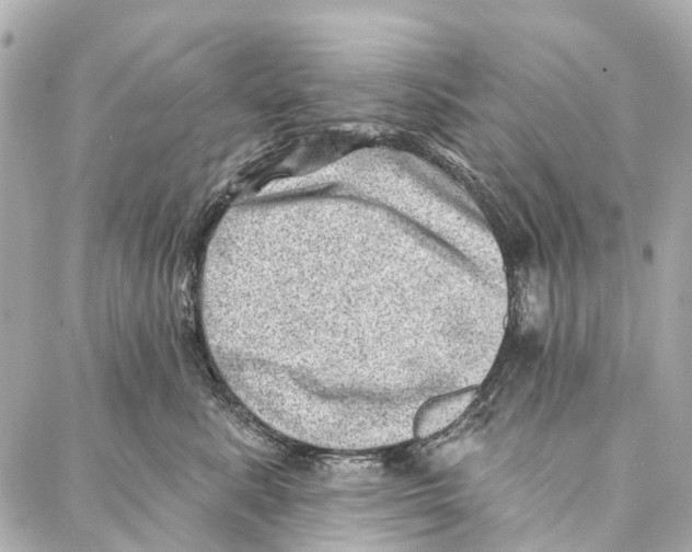 X0000086980619200705141717