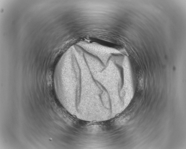 X0000086980620200705141717