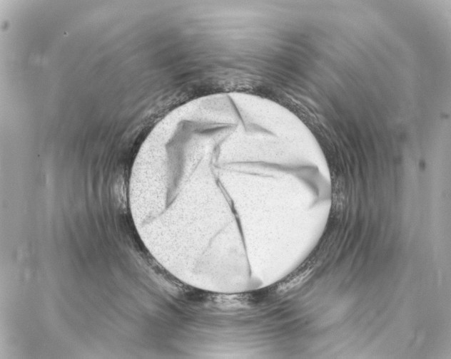 X0000086980622200705141717