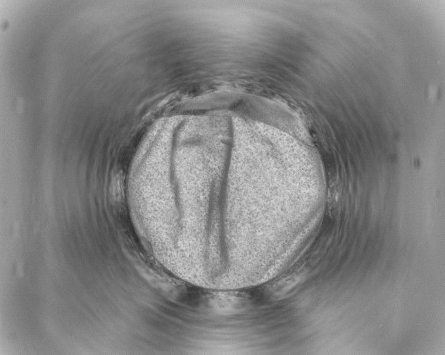 X0000086980623200705141717