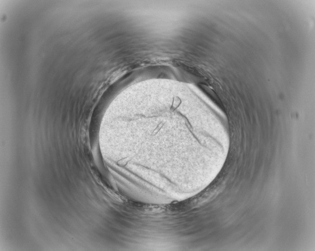 X0000086980624200705141717