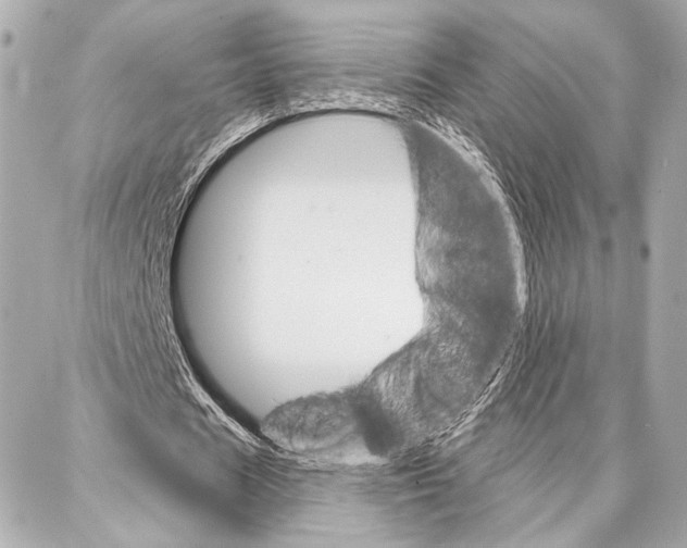 X0000086980625200705141716