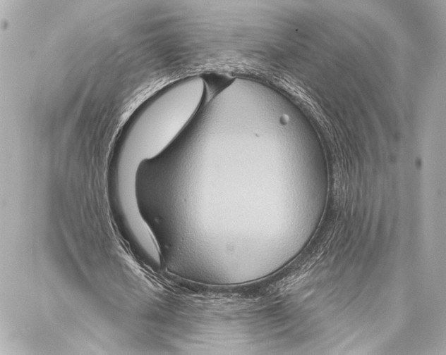 X0000086980626200705141716