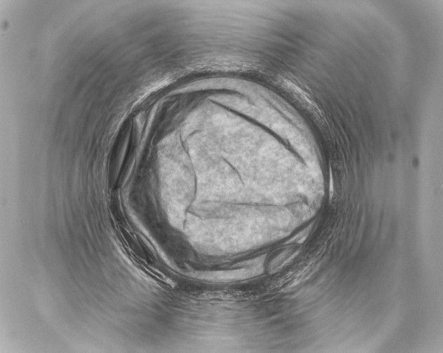 X0000086980627200705141716