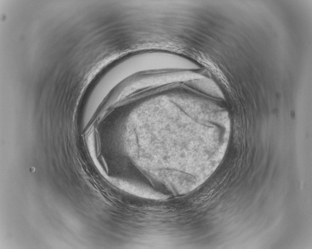 X0000086980628200705141716