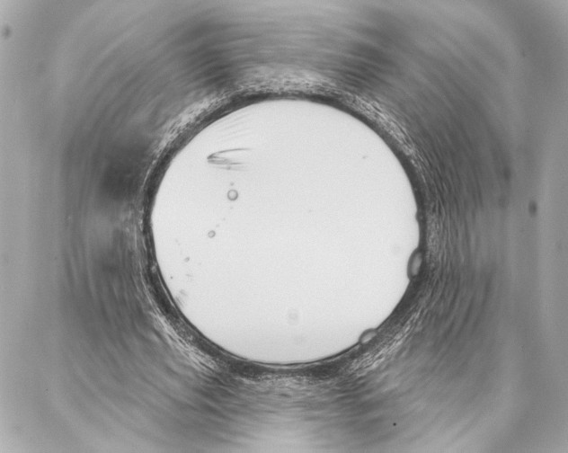 X0000086980629200705141716