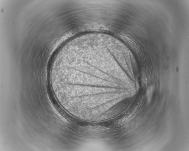 X0000086980630200705141717