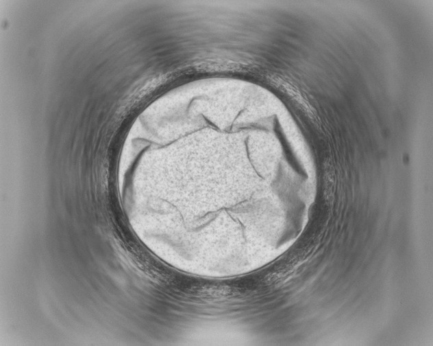 X0000086980631200705141717