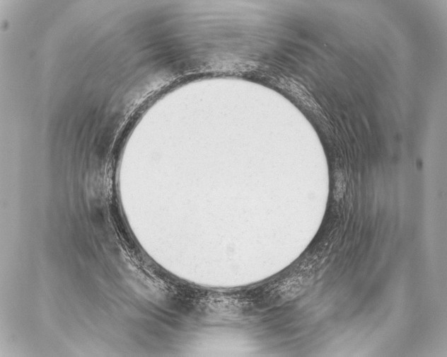 X0000086980632200705141717