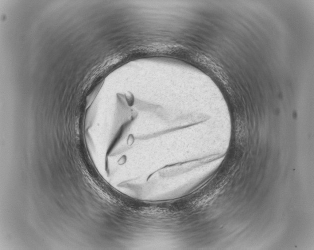 X0000086980633200705141717