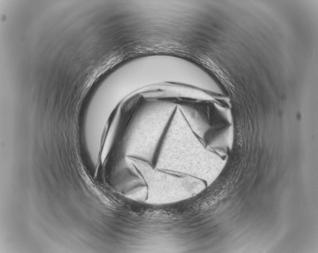 X0000086980634200705141717