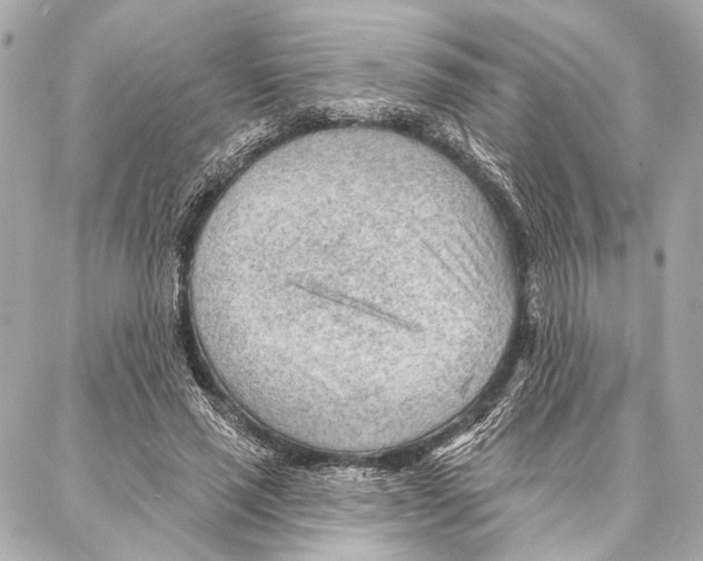 X0000086980637200705141717