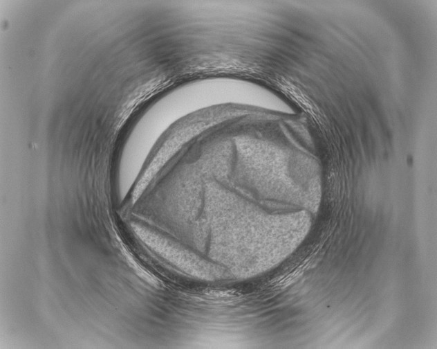 X0000086980638200705141717