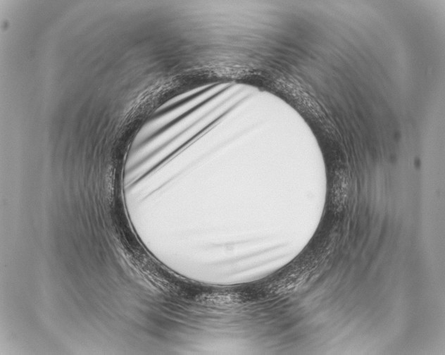 X0000086980639200705141717