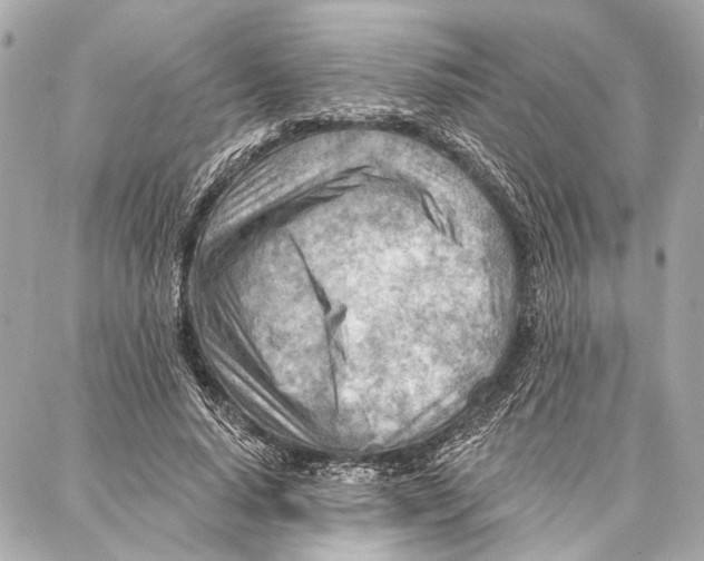 X0000086980640200705141717