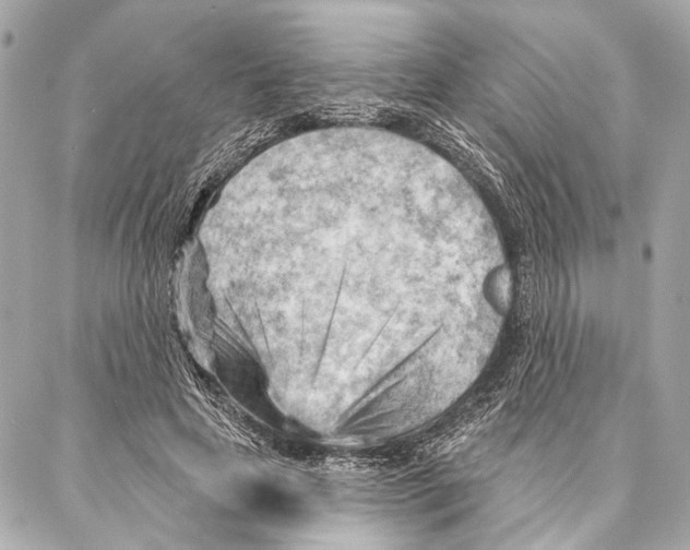 X0000086980641200705141717