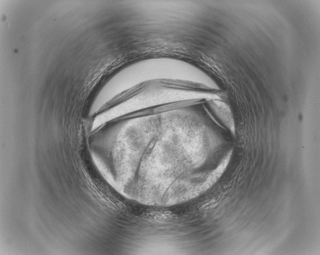 X0000086980642200705141717