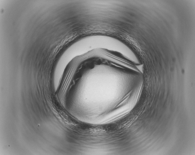 X0000086980644200705141717