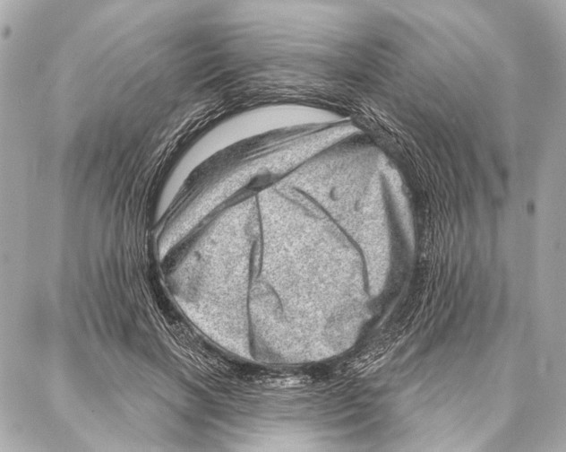 X0000086980646200705141717