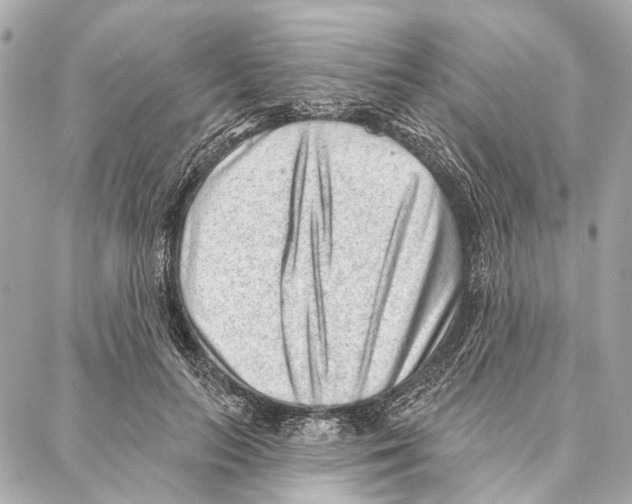 X0000086980647200705141717