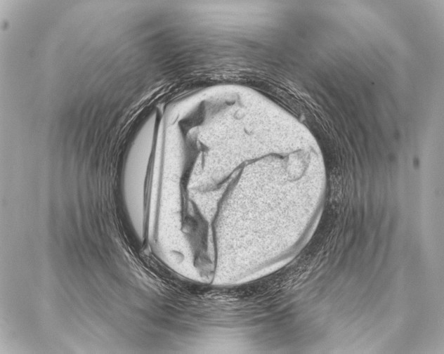 X0000086980648200705141717