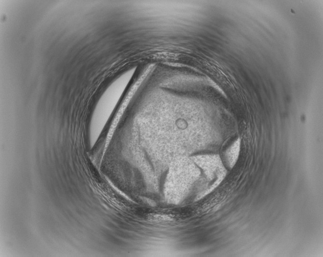 X0000086980649200705141717